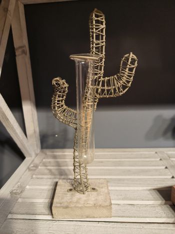 Petit vase cactus 🌵 en métal