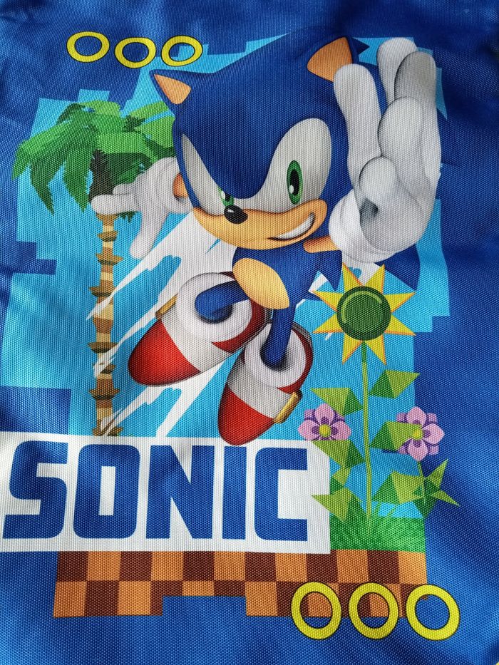 Sac de piscine sonic - photo numéro 3