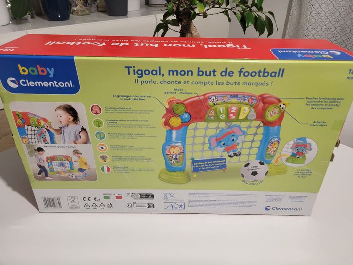 Tigoal, mon but de football - photo numéro 2