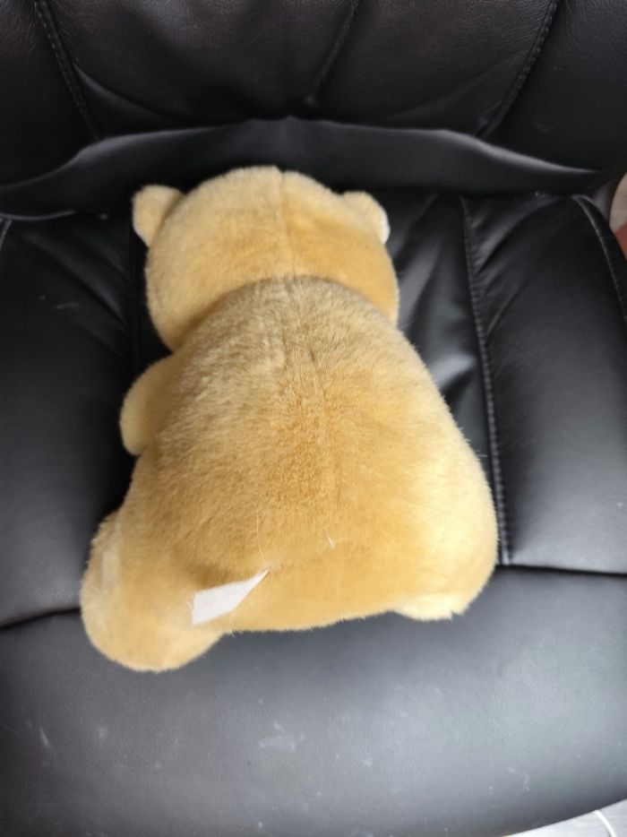 Peluche nounours - photo numéro 4