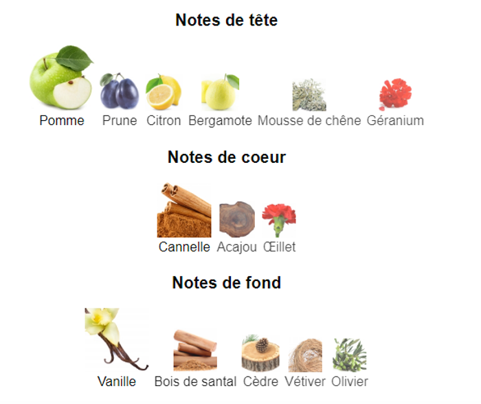 Bluss Grey "inspi Hugo Boss Bottled Grey" Eau de Parfum Pour Homme 100 ml - photo numéro 4