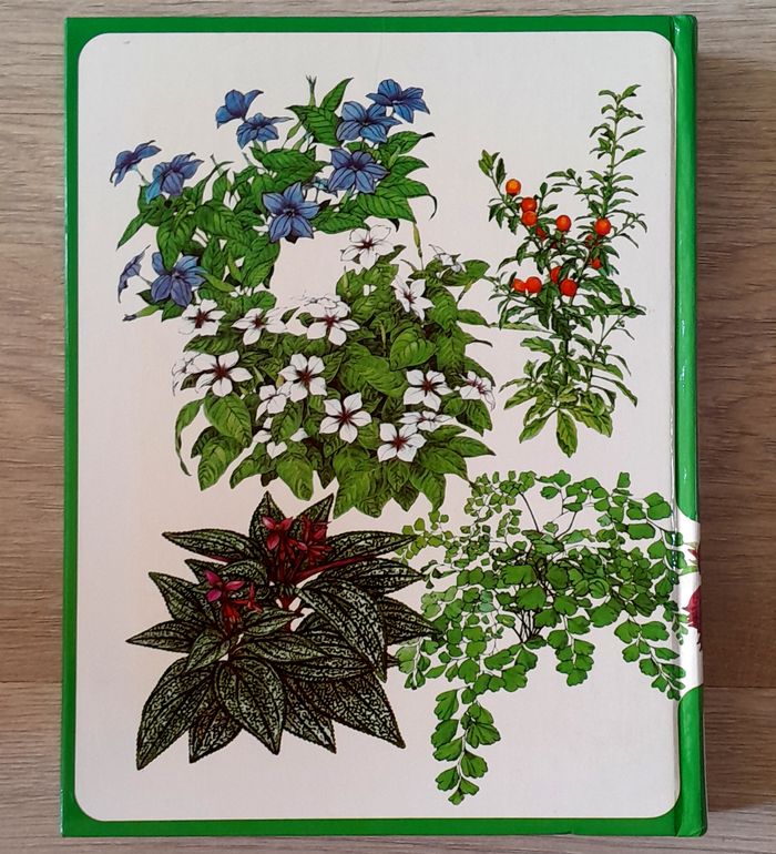 guide des plantes d'intérieur - photo numéro 3