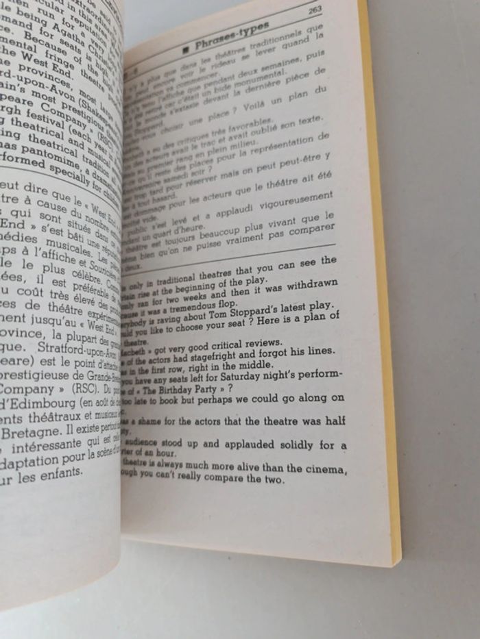 Anglais pratiquer perfectionnement pour maîtriser la langue et son environnement - photo numéro 11
