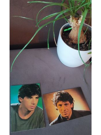 Lot 2 cartes postales de Patrick Bruel