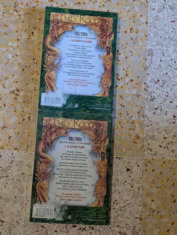 2 livres la quête de deltora - photo numéro 2