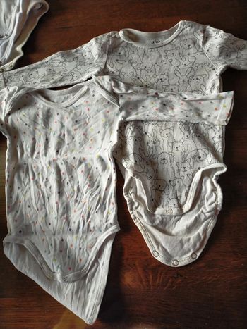 Lot 2 bodies 12 mois