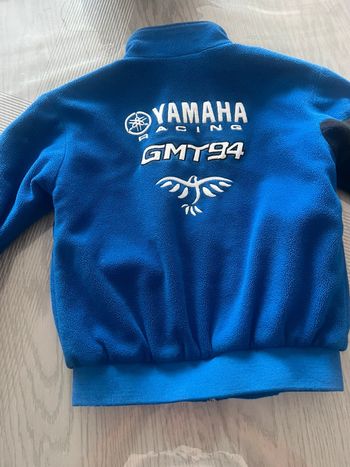 Verte polaire yamaha 10 ans