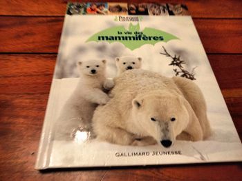 Livre sur la vie des mammifères Gallimard Jeunesse