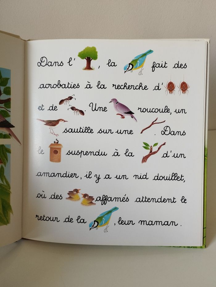 Livre Je lis avec les animaux du jardin - photo numéro 9
