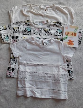 Lot 3 t-shirt 12-18 mois 