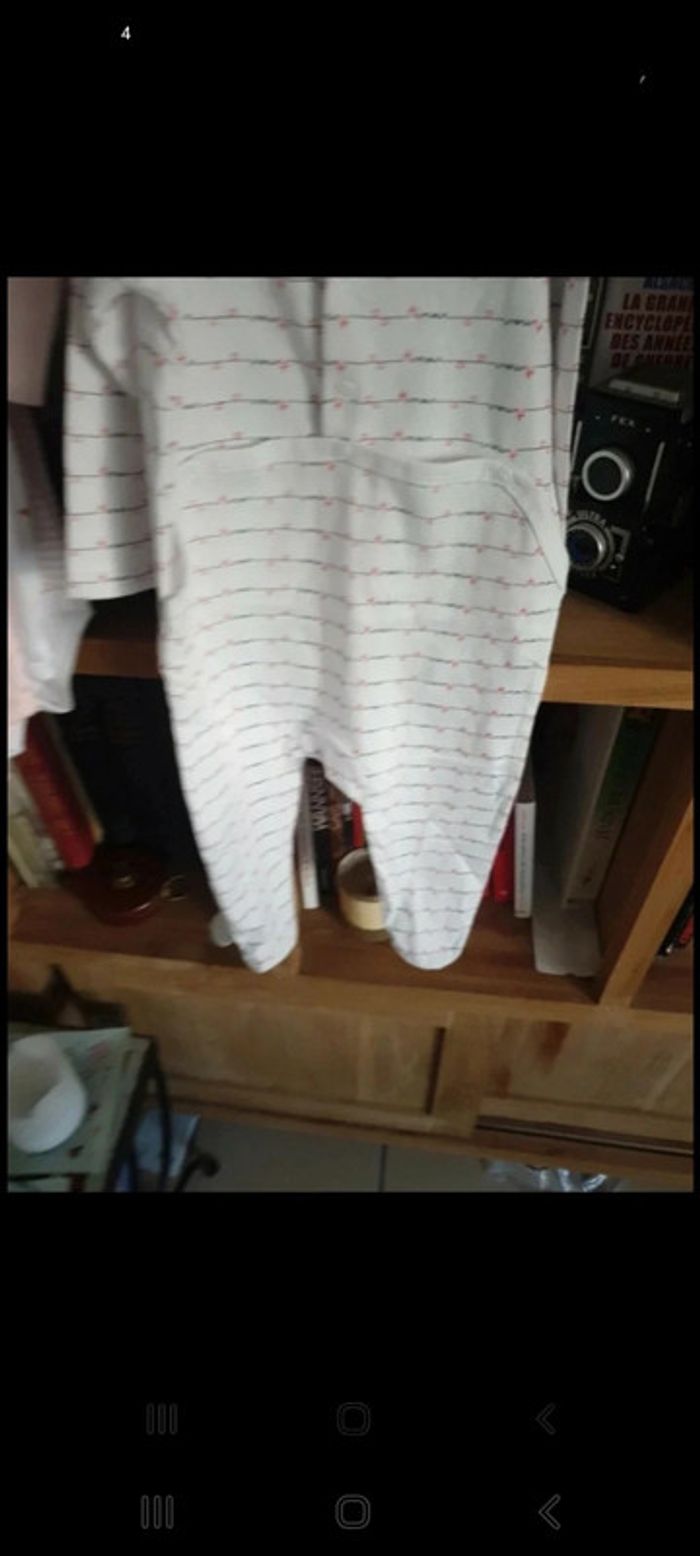 Lot 4 bodys + 1 dors bien en coton bio 6 mois - photo numéro 10