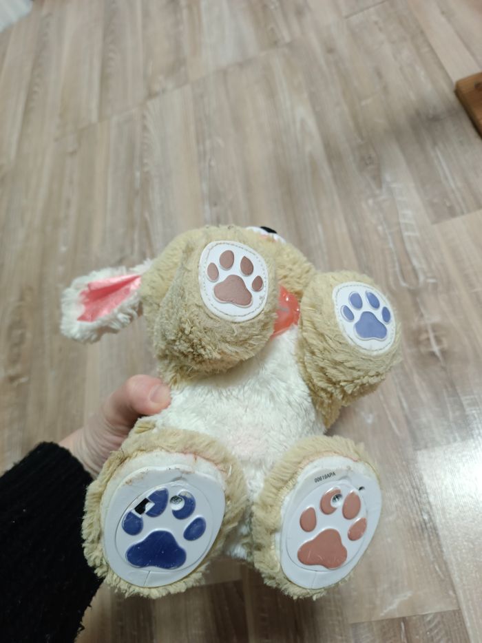 Fancy puppy - photo numéro 3