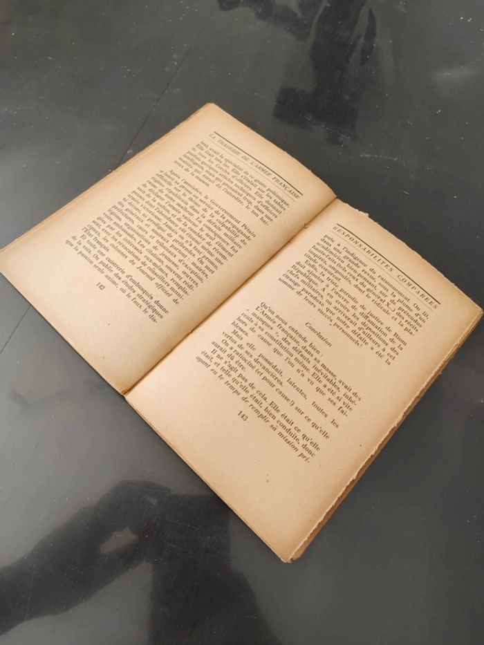 La tragédie de l'armée française - photo numéro 4