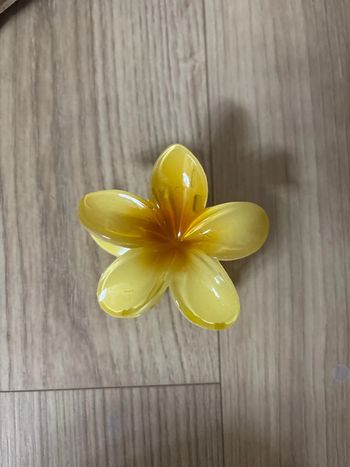 Grosse pince fleur