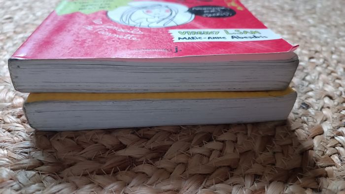 Lot de 2 livres enfant - photo numéro 3