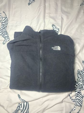 Polaire north face