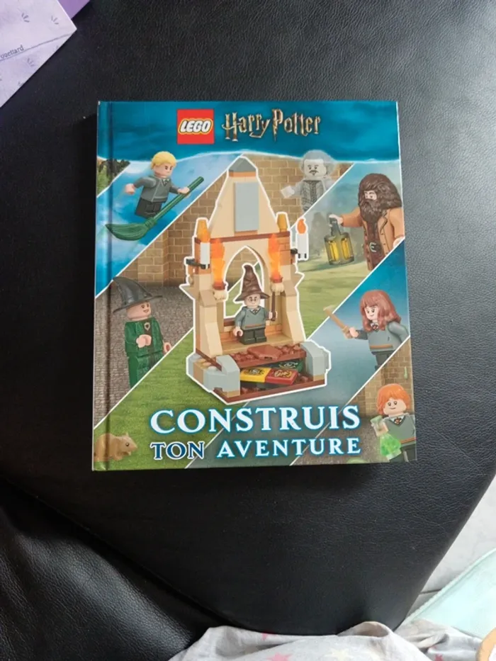 Livre Lego " Harry Potter"