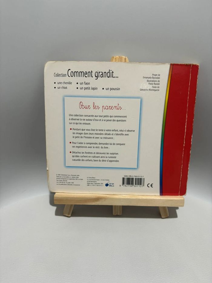 Livre Pour Enfant Un Lionceau - photo numéro 2