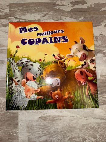 Livre mes meilleurs copains