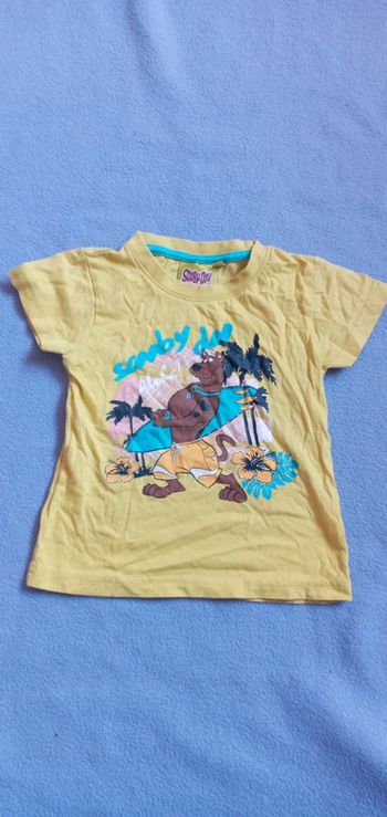 Tee-shirts Scooby-doo taille 18 mois