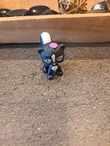 Chat noir Petshop