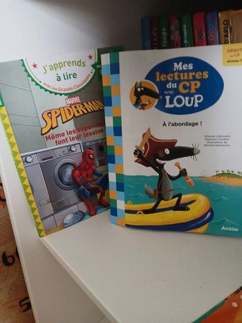 Lot 2 livres  cp