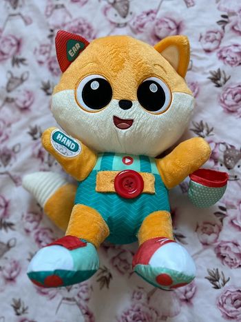 Renard chicco