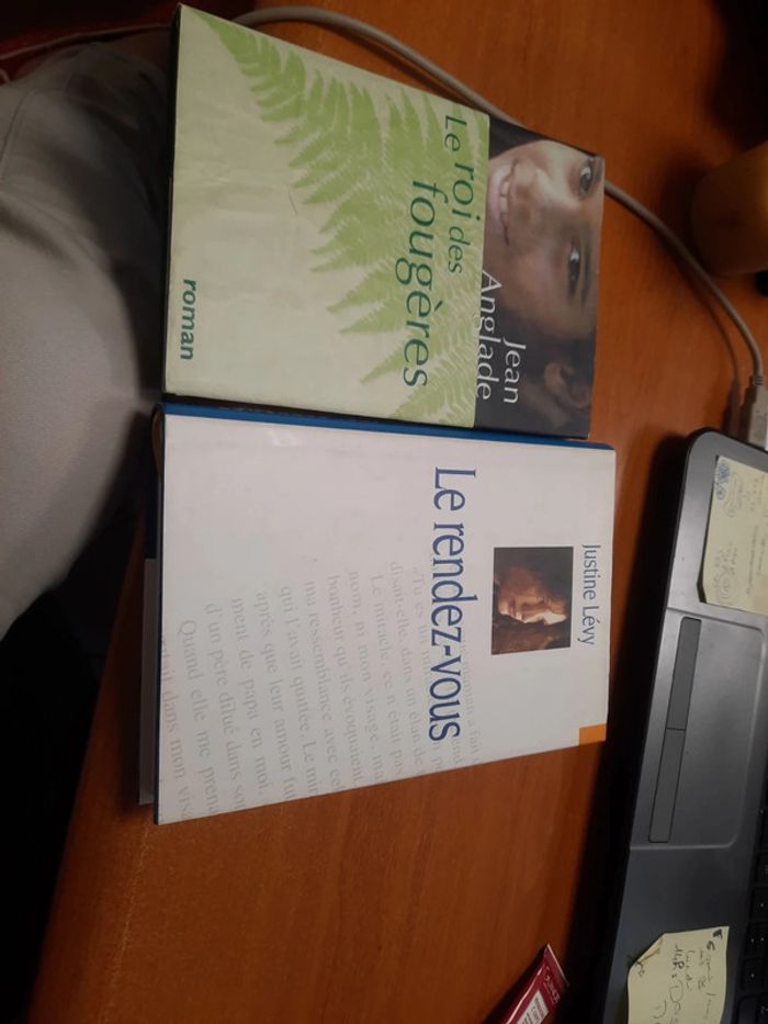 Lot 2 livres le roi et le rendez-vous