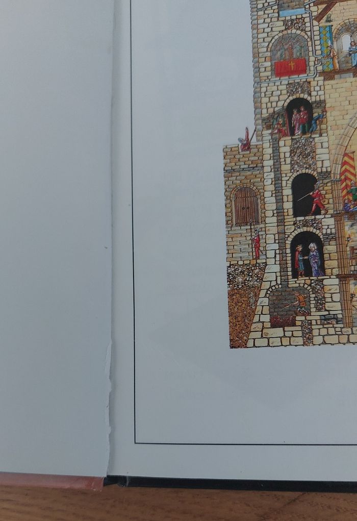 L'histoire mystérieuse d'un Château Fort - Picolia - photo numéro 3