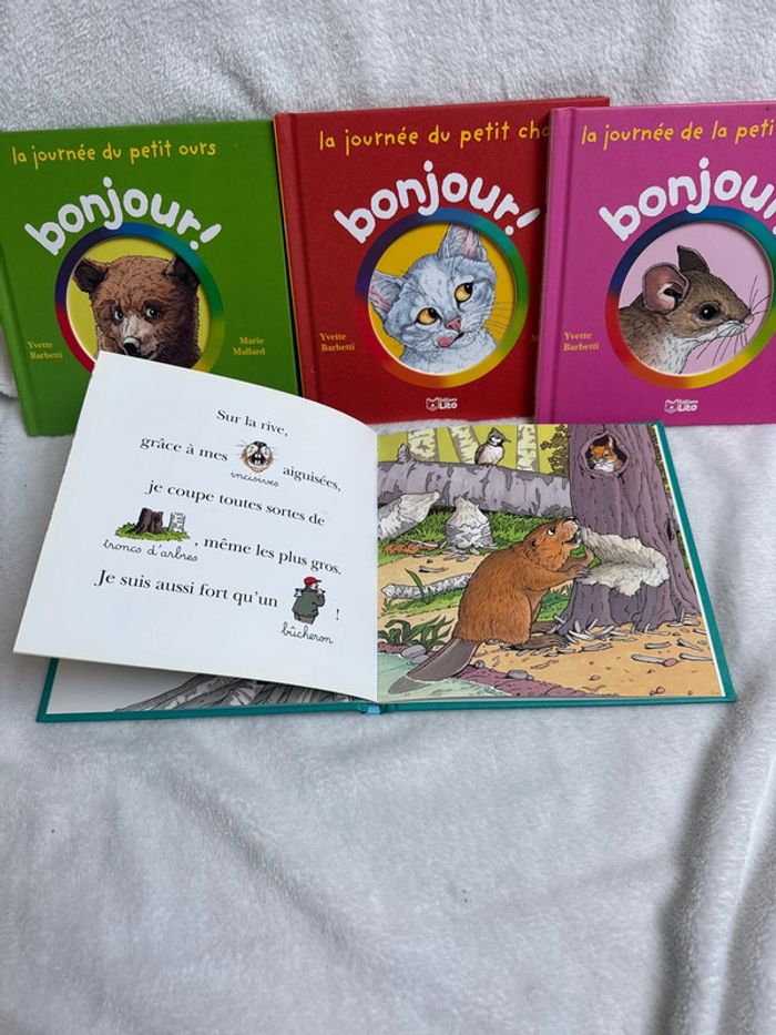 Lot de 4 livres pour apprendre à lire - photo numéro 2