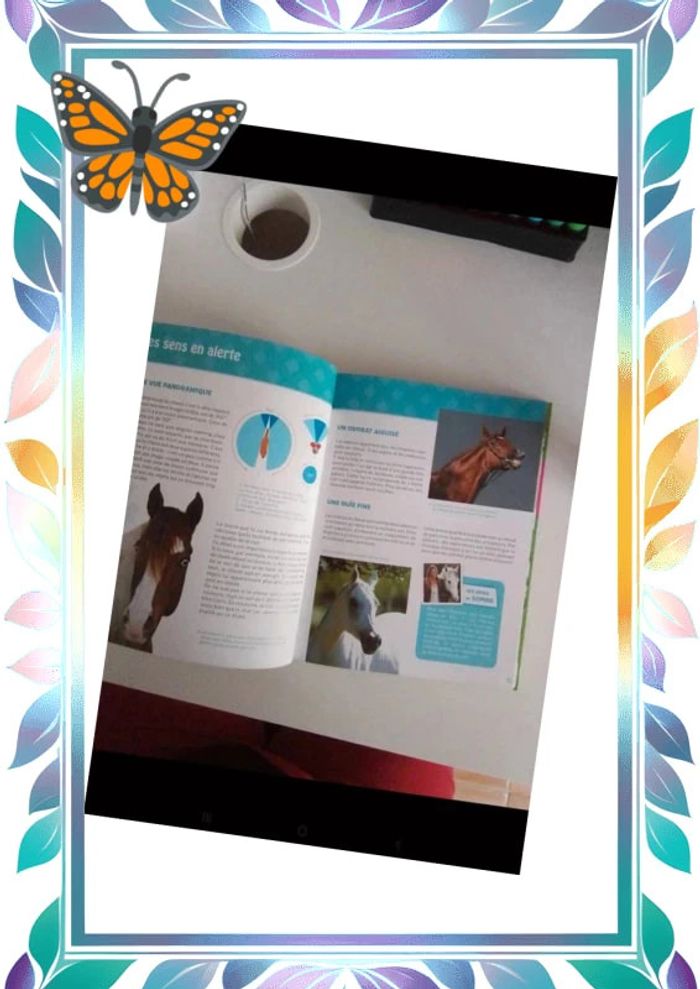 Au galop - photo numéro 4