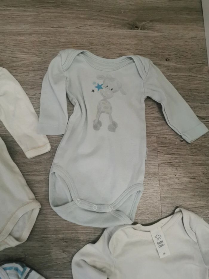 Lot de 6 bodys 3 mois - photo numéro 5