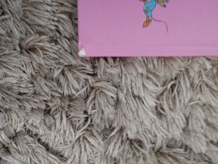 Cendrillon - photo numéro 5