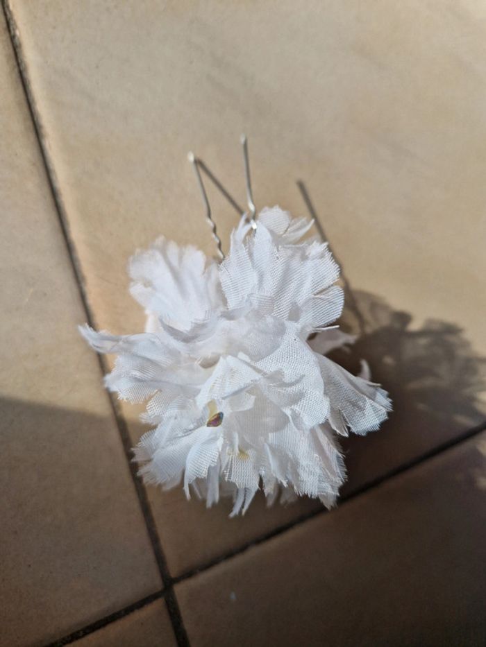 Pince pour cheveux - photo numéro 2