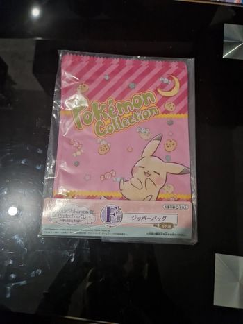 Pochette pokemon