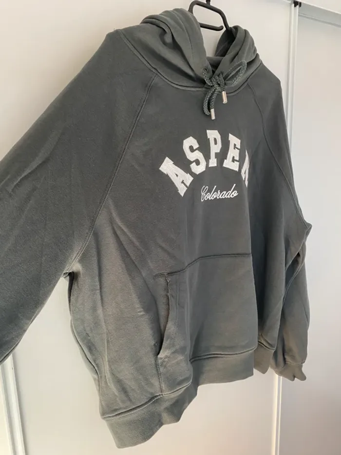 Sweat a capuche femme taille L - photo numéro 2