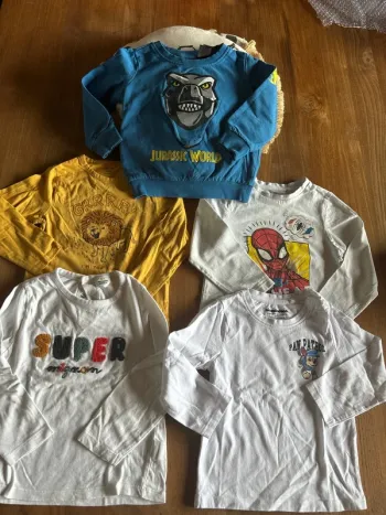 Lot de 4 tee shirt manche longue et un pull taille 36 mois