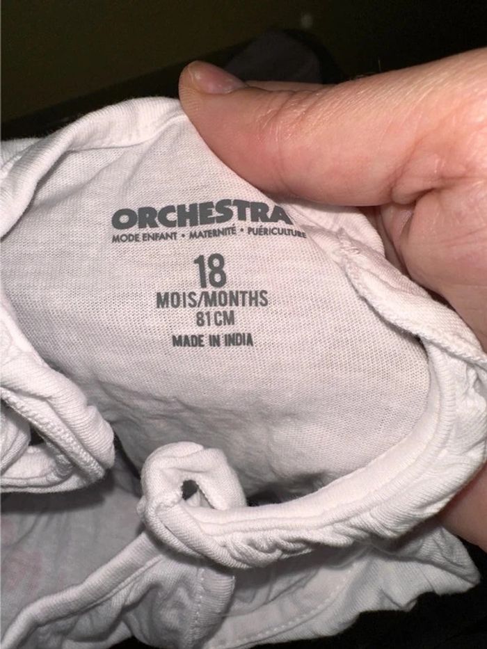 Orchestra débardeur 81 - photo numéro 2