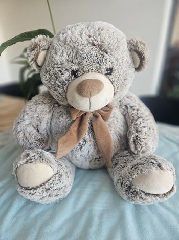 Ours en peluche
