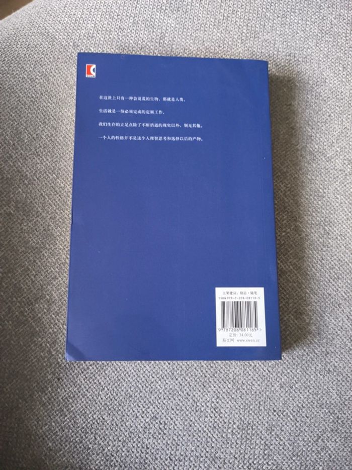 Essai de pensée de Schopenhauer - photo numéro 2