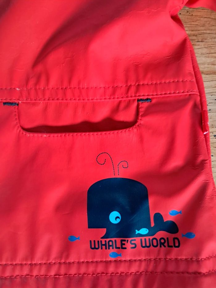 Ciré Obaïbi 6 mois - photo numéro 3