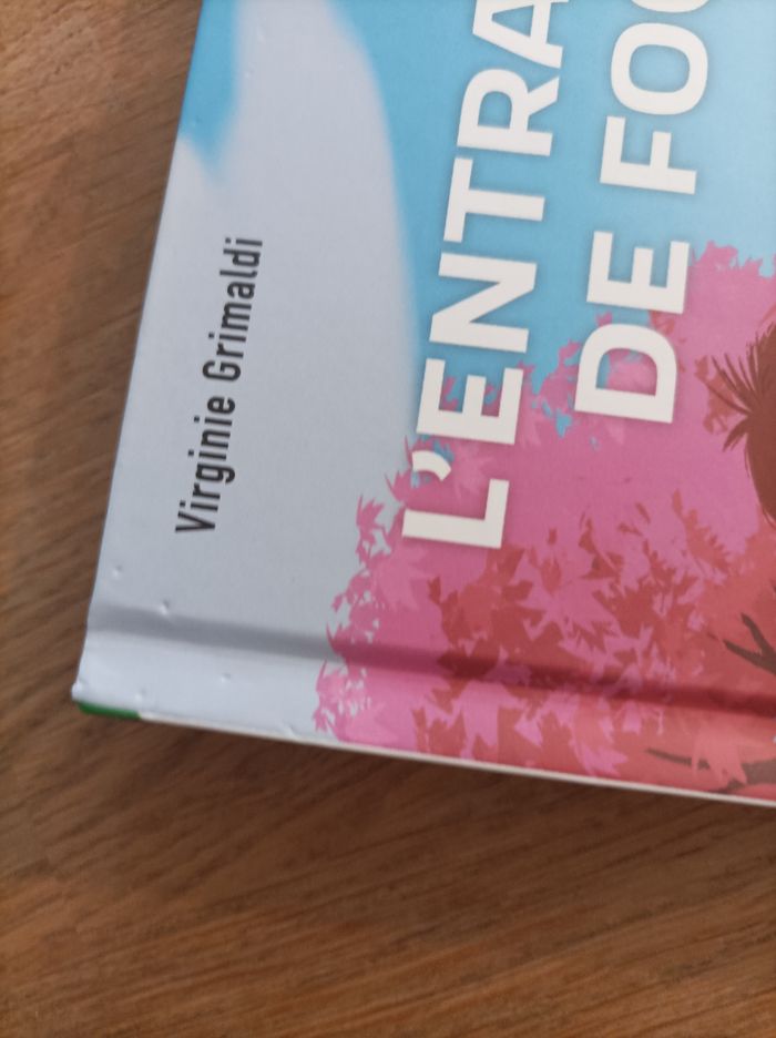 Lot de 4 livres Esprit sportif Virginie Grimaldi - photo numéro 5