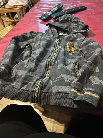 Veste garçon 36 mois Dirkje 