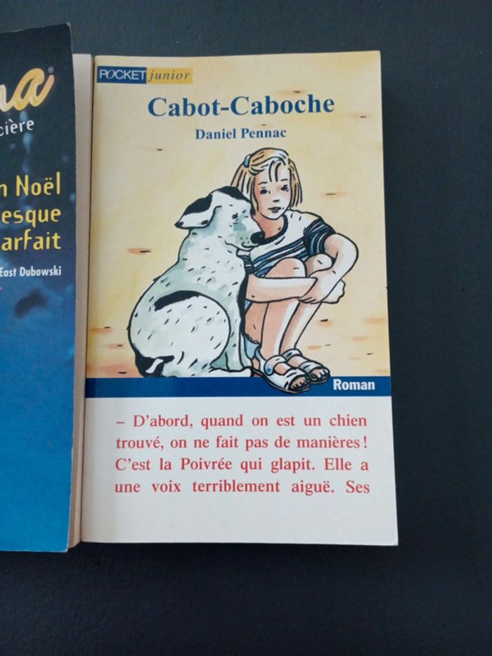 Cabot-caboche - photo numéro 2