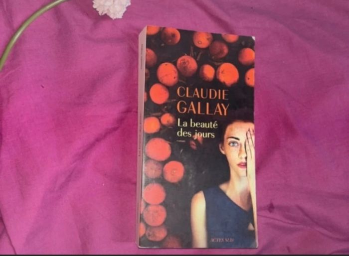 la beauté des jours - photo numéro 2