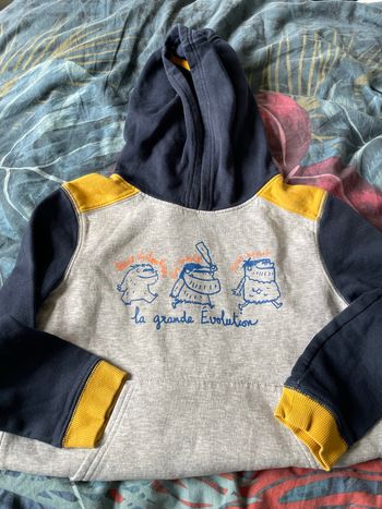 Lot de 4 sweat à capuche