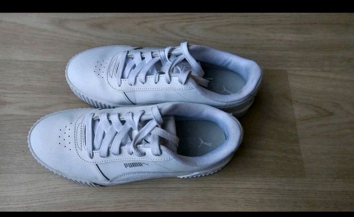 Puma carina - photo numéro 4