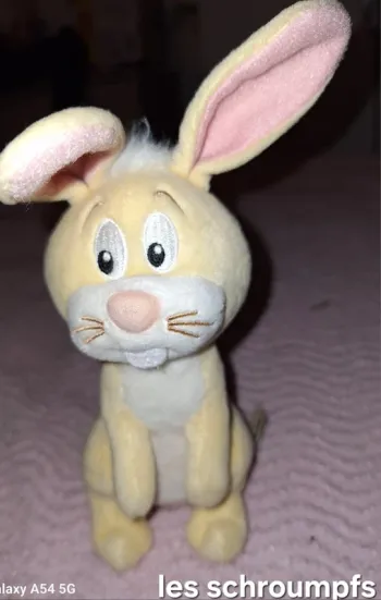 🎀 petit lapin 🎀