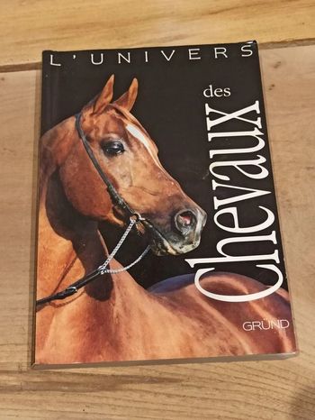 L'univers des cheveux