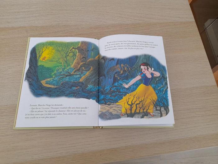 Livre disney - photo numéro 3